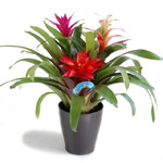 �O�Y���b�`